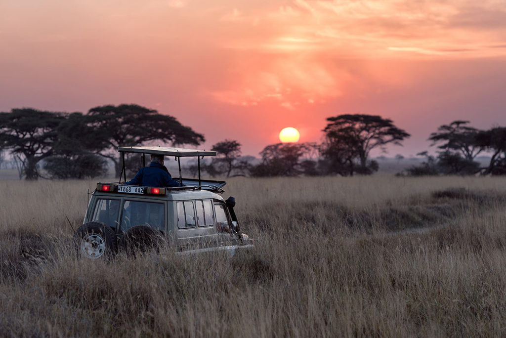 Safaris por Kenia y Tanzania