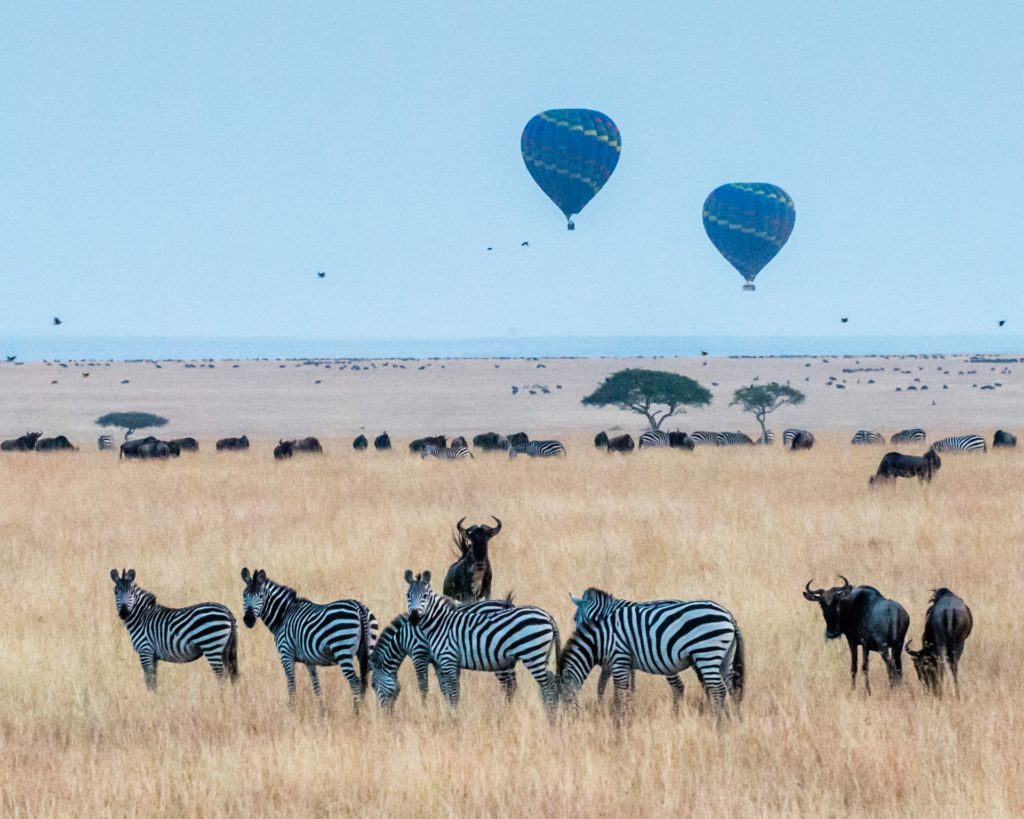 Oferta de viaje a Kenia con safaris VIP