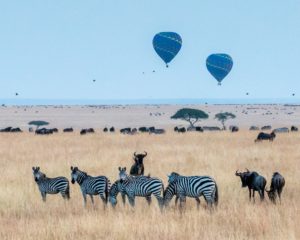 Oferta de viaje a Kenia con safaris VIP