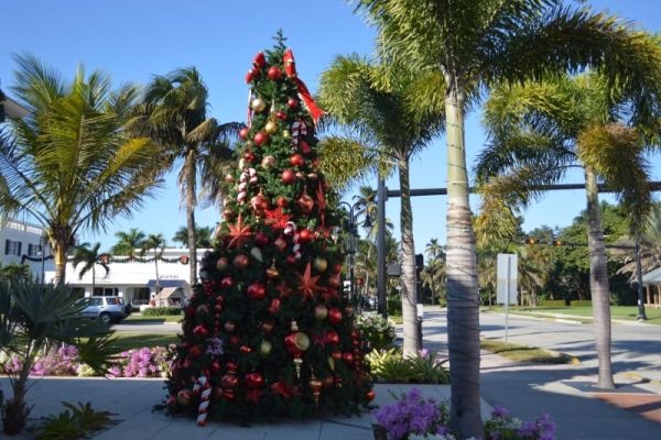 Napoles-navidad