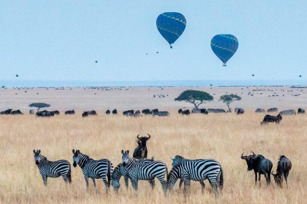 Oferta de viaje a Kenia con safaris VIP