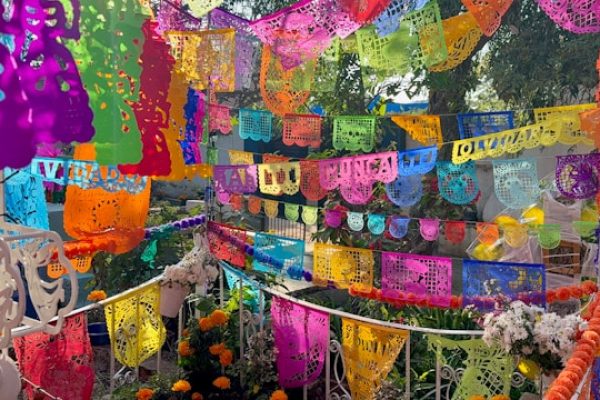 Oferta viaje a en grupo a México 4