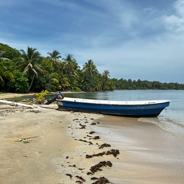 Viaje a Islas Mauricio - orilla