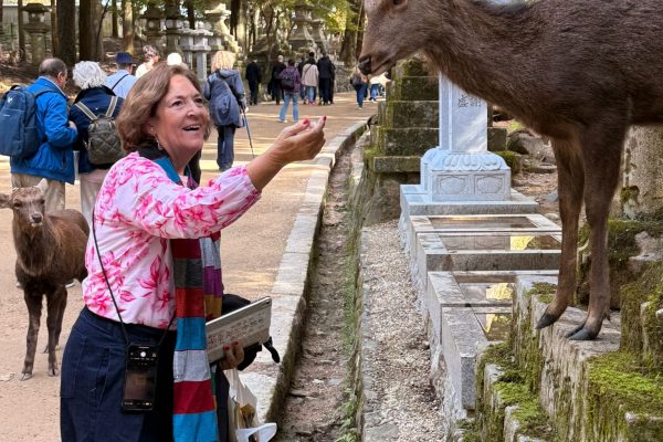 Parque de los ciervos y templo Todai-ji de Nara