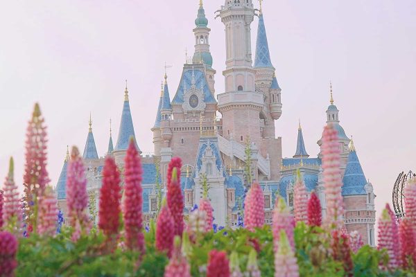 Castillo de Disneyland