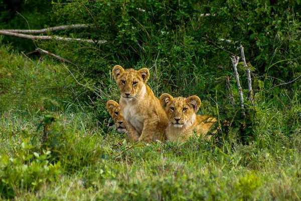 Guía de viaje a Kenia y Tanzania