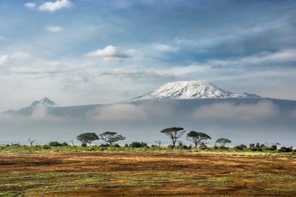 Oferta de viaje a Kenia - Reserva Nacional Amboseli panorámica