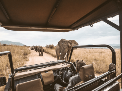Safari fotográfico en la reserva de Samburu