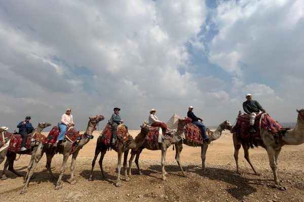 viaje-en-grupo-Egipto-Flipoviajeros-camellos