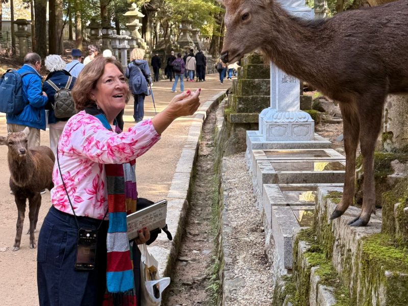 Parque de los ciervos y templo Todai-ji de Nara